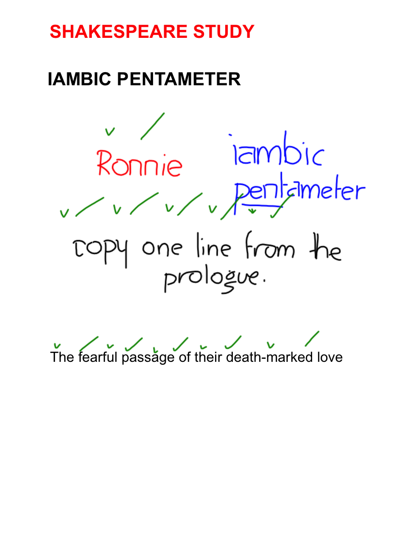 iambic pentameter sonnet quizlet